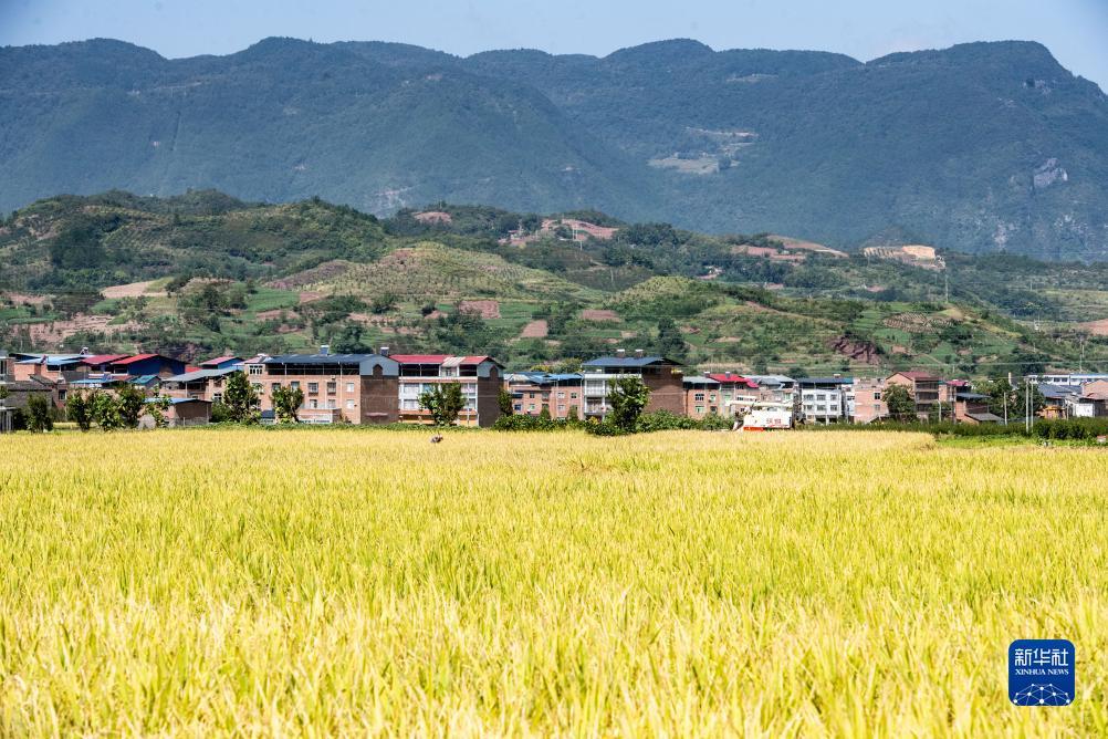 巴适游戏大厅